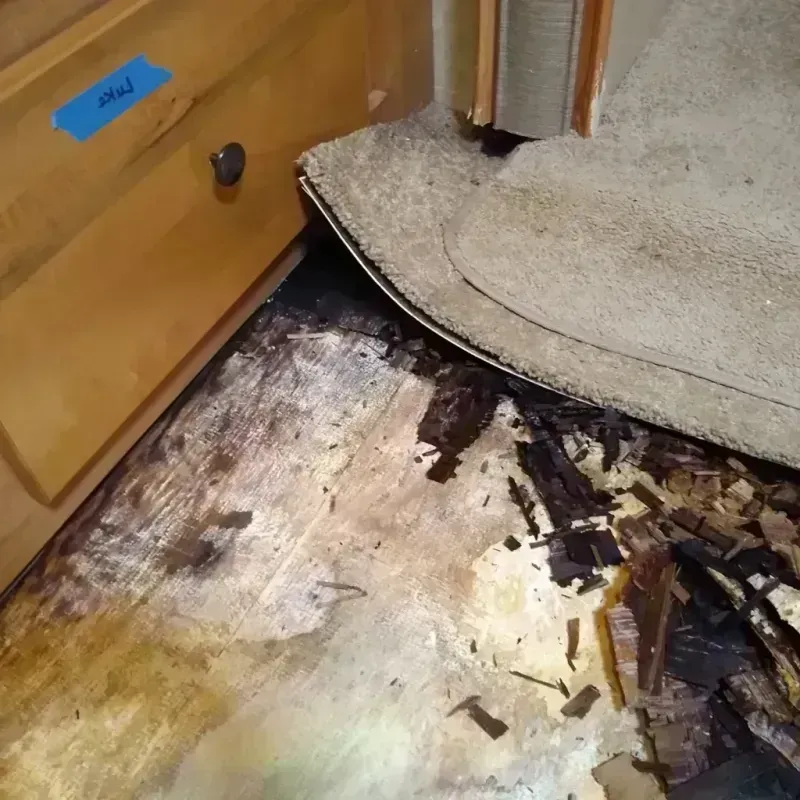 Wood Floor Water Damage in Clark County, SD